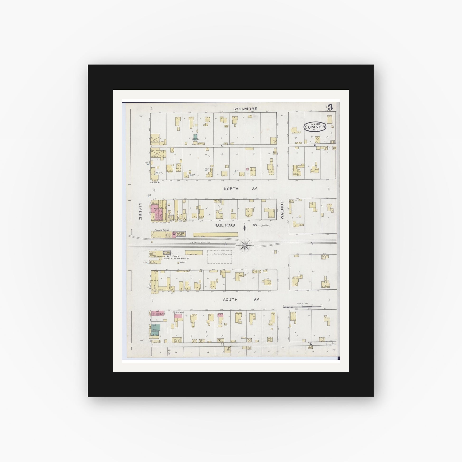 Old map wall art mockup — black gallery frame with white mat — Sanborn Fire Insurance Map from Sumner, Lawrence County, Illinois (1894), Sheet #0003
