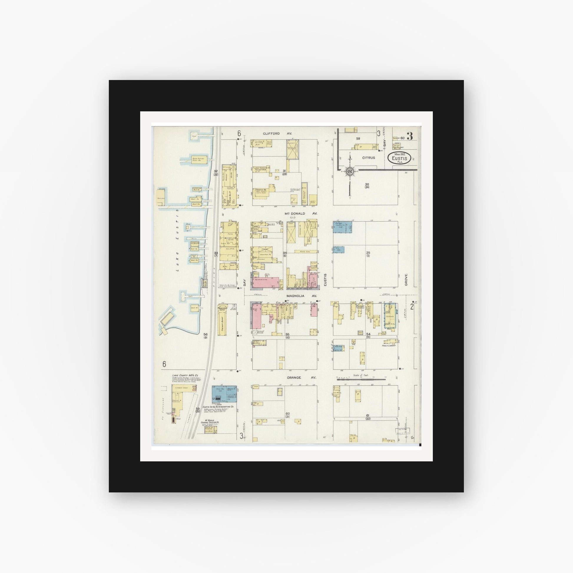 Old map wall art mockup — black gallery frame with white mat — Sanborn Fire Insurance Map from Eustis, Lake County, Florida (1912), Sheet #0003