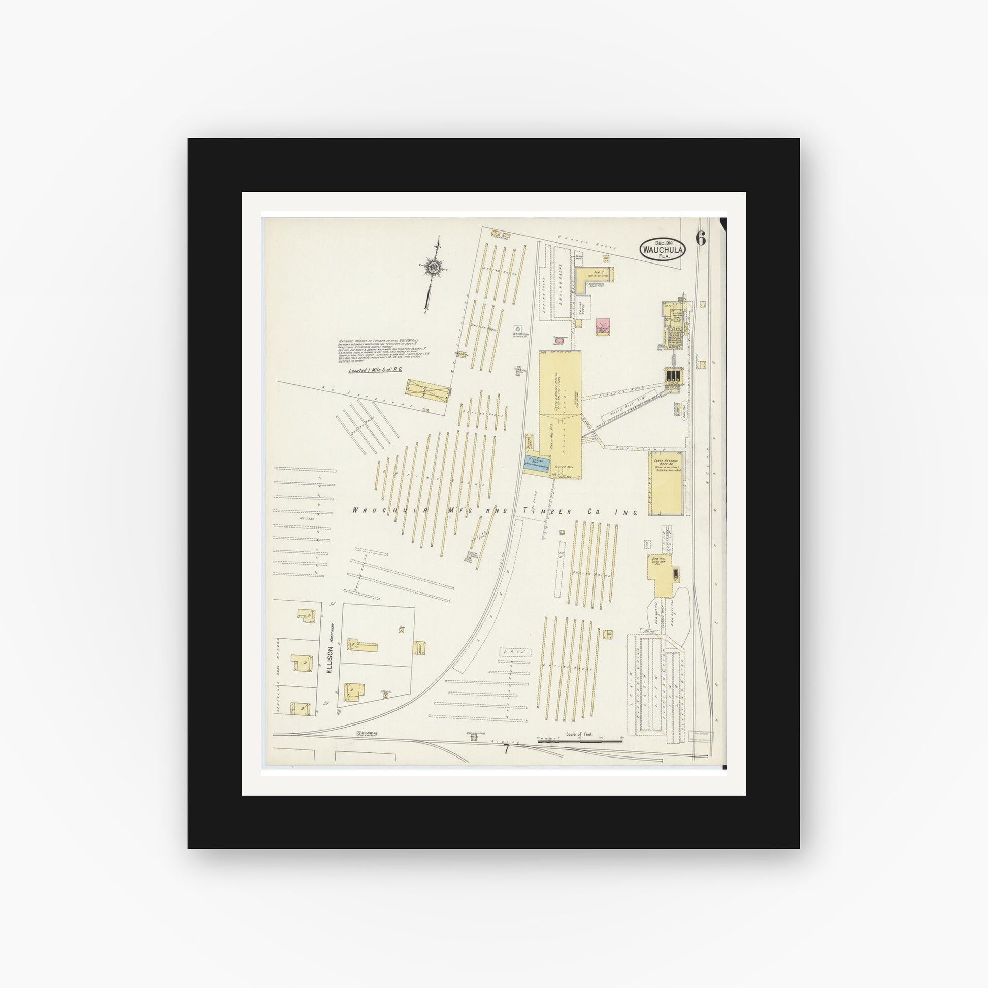 Old map wall art mockup — black gallery frame with white mat — Sanborn Fire Insurance Map from Wauchula, Hardee County, Florida (1914), Sheet #0006
