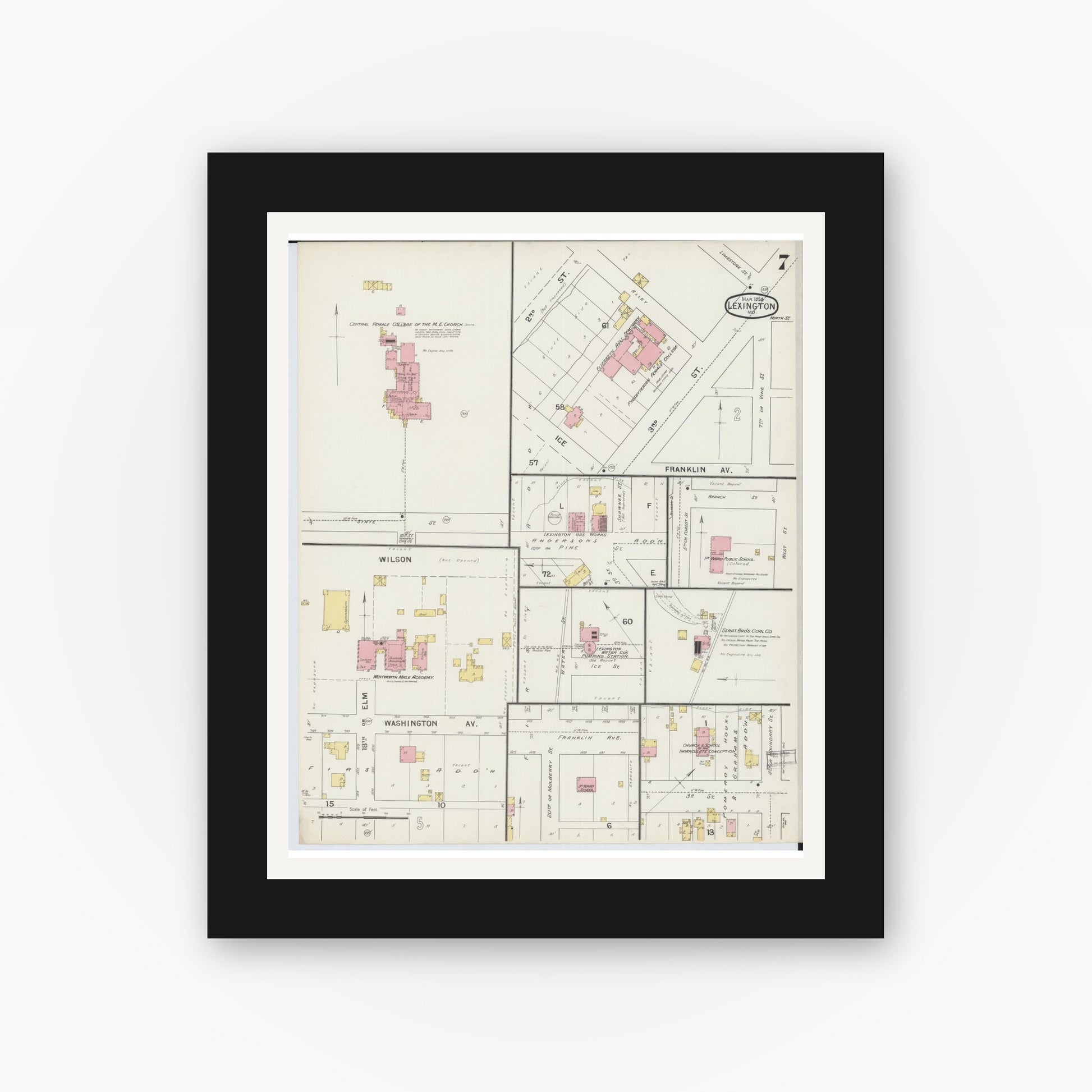 Old map wall art mockup — black gallery frame with white mat — Sanborn Fire Insurance Map from Lexington, Lafayette County, Missouri (1894), Sheet #0007