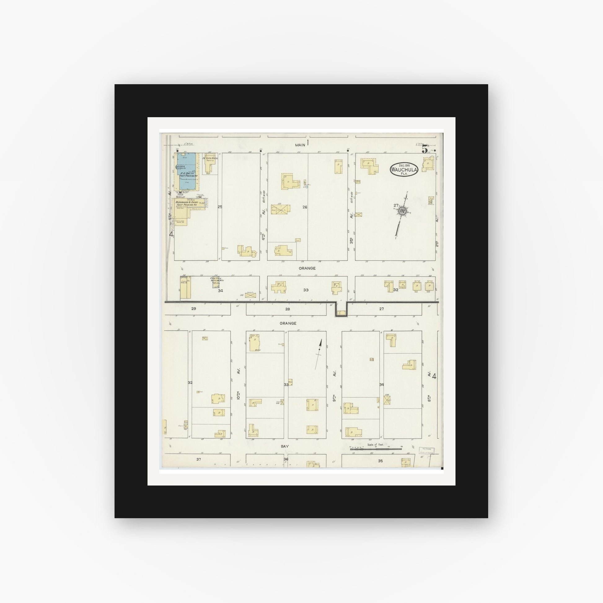 Old map wall art mockup — black gallery frame with white mat — Sanborn Fire Insurance Map from Wauchula, Hardee County, Florida (1914), Sheet #0005