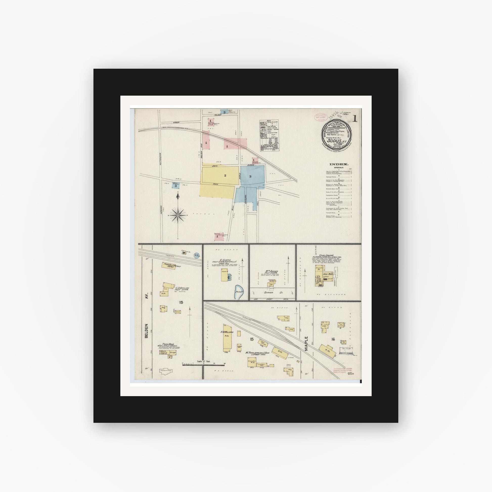 Old map wall art mockup — black gallery frame with white mat — Sanborn Fire Insurance Map from Sodus, Wayne County, New York (1889), Sheet #0001