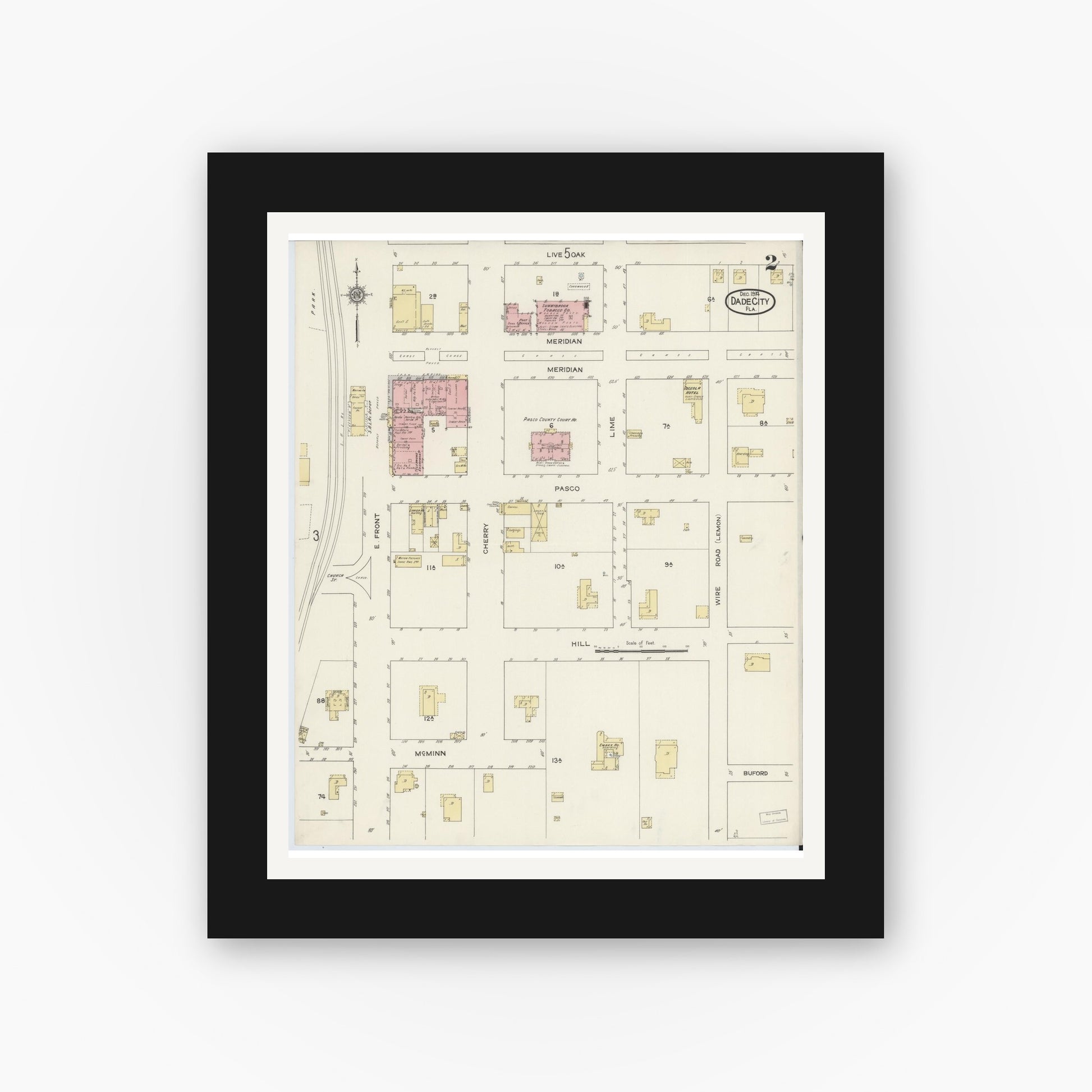 Old map wall art mockup — black gallery frame with white mat — Sanborn Fire Insurance Map from Dade City, Pasco County, Florida (1914), Sheet #0002