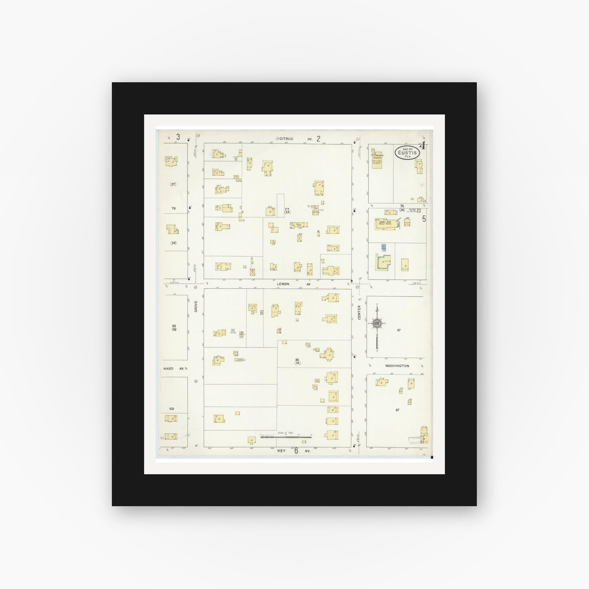 Old map wall art mockup — black gallery frame with white mat — Sanborn Fire Insurance Map from Eustis, Lake County, Florida (1912), Sheet #0004