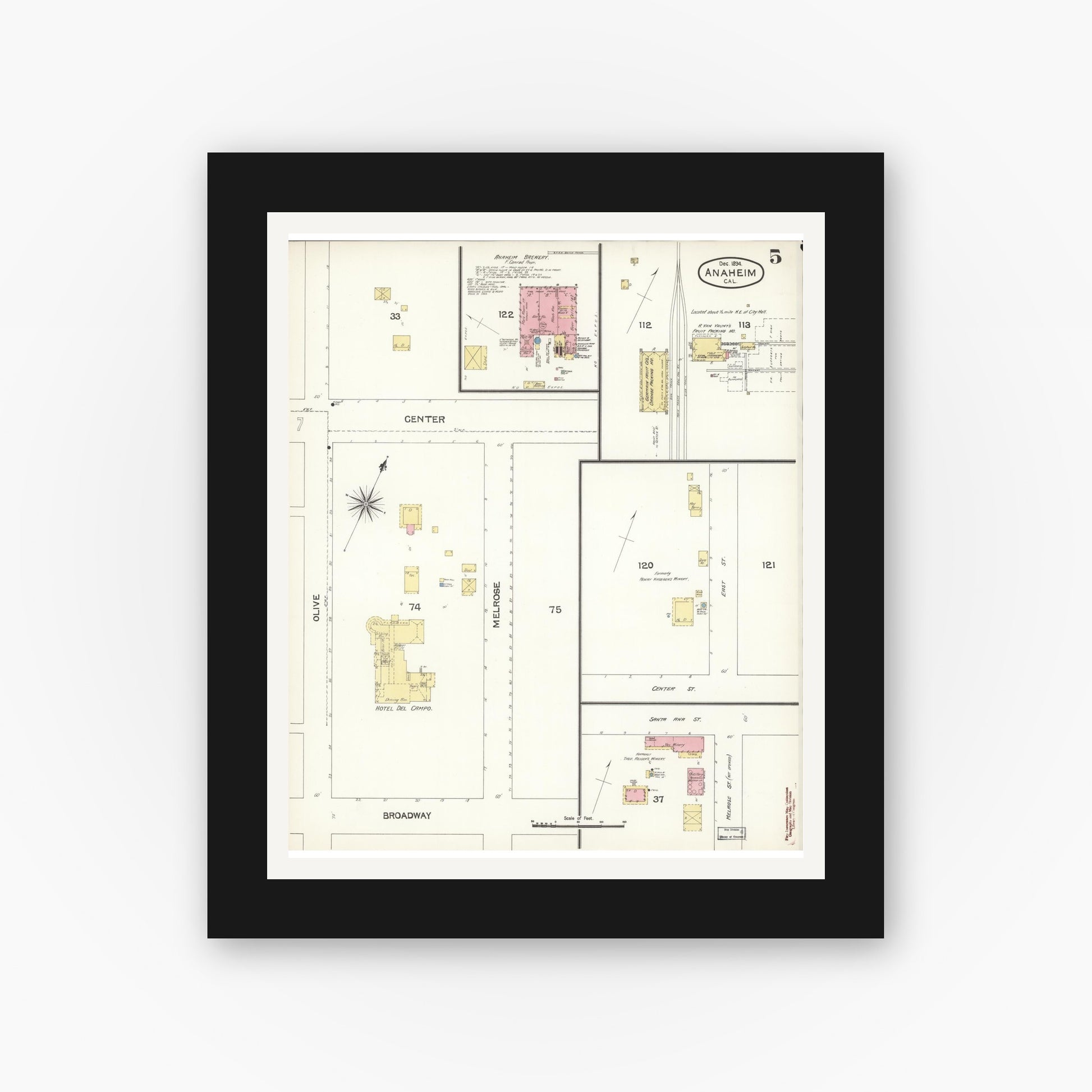 Old map wall art mockup — black gallery frame with white mat — Sanborn Fire Insurance Map from Anaheim, Orange County, California (1894), Sheet #0005
