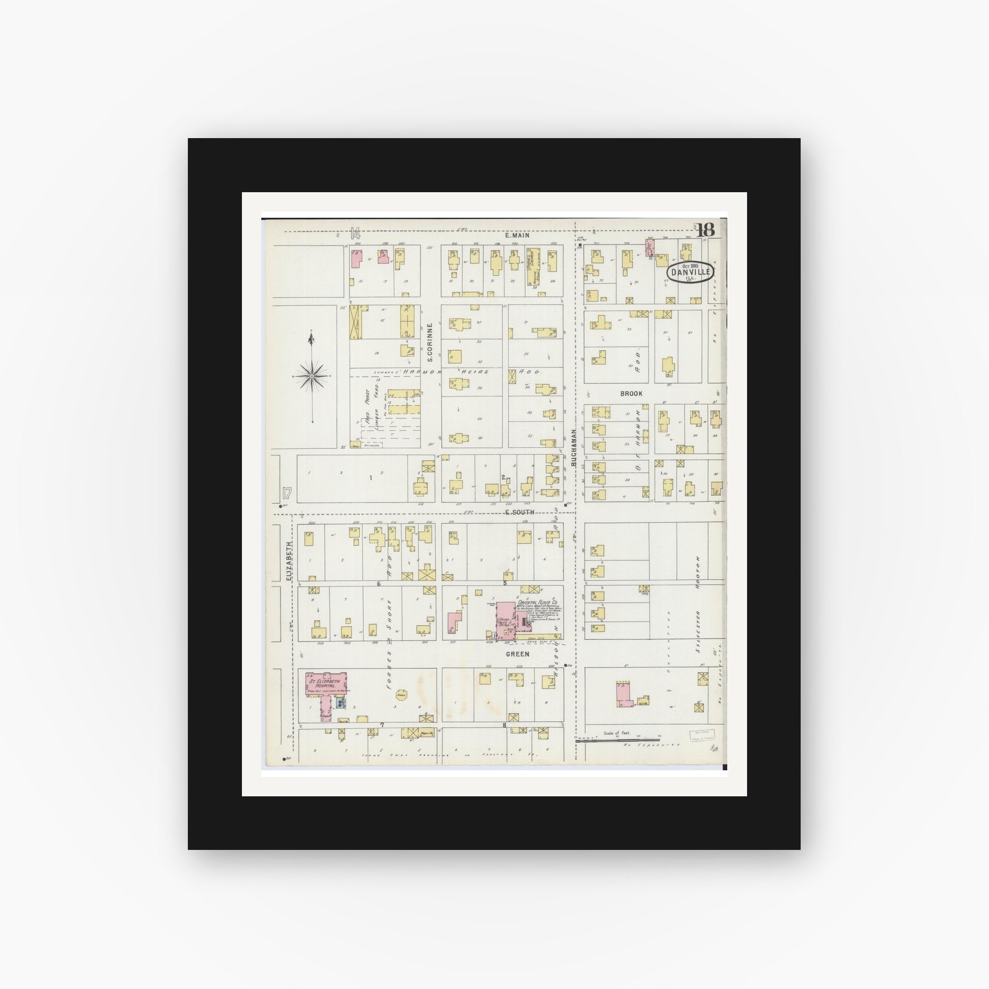 Old map wall art mockup — black gallery frame with white mat — Sanborn Fire Insurance Map from Danville, Vermilion County, Illinois (1895), Sheet #0018