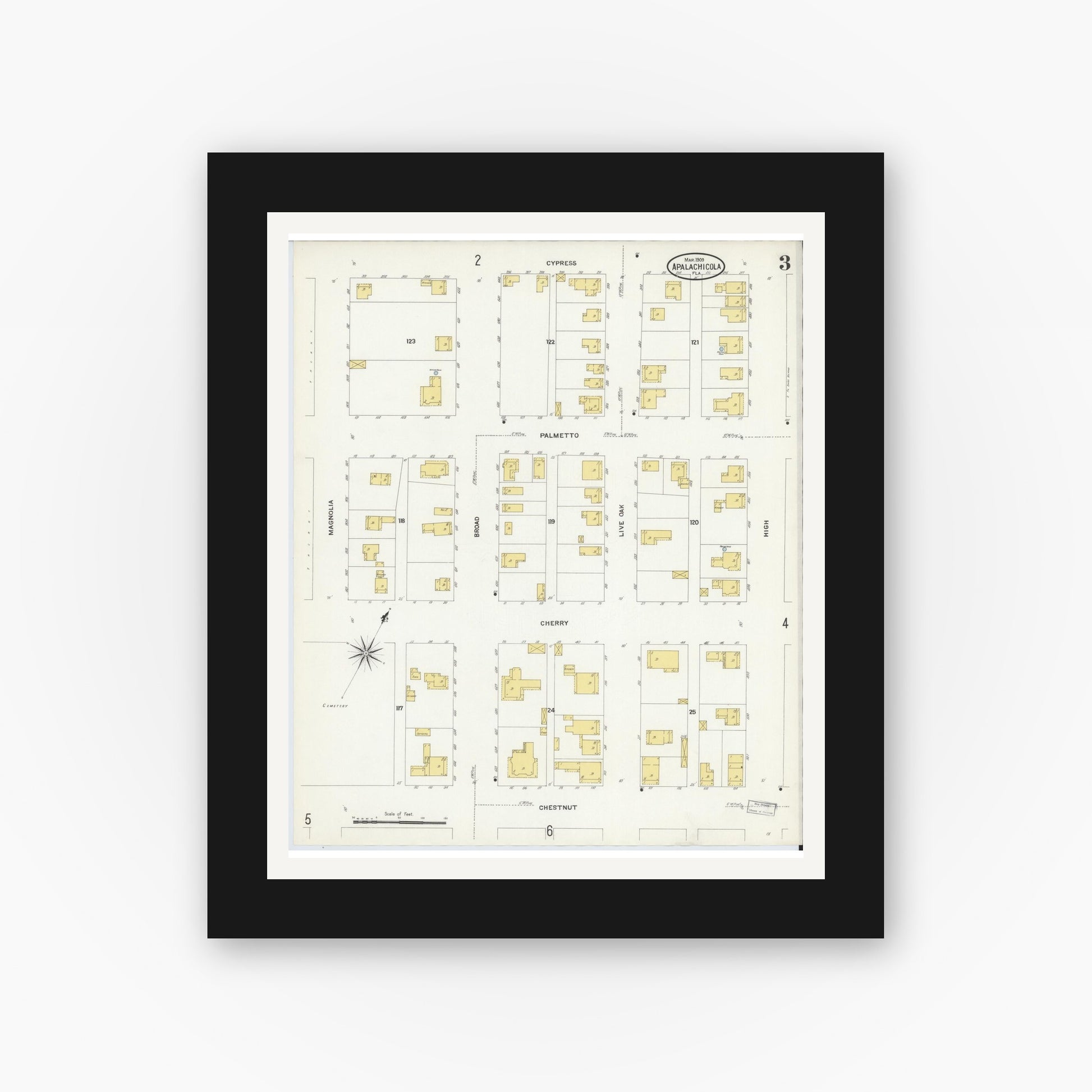 Old map wall art mockup — black gallery frame with white mat — Sanborn Fire Insurance Map from Apalachicola, Franklin County, Florida (1909) - Complete Map Set