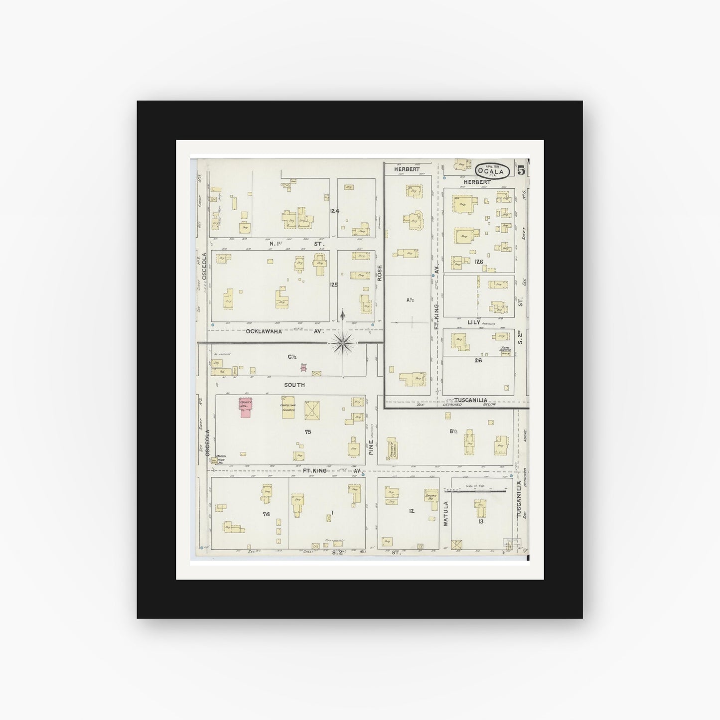 Old map wall art mockup — black gallery frame with white mat — Sanborn Fire Insurance Map from Ocala, Marion County, Florida (1891), Sheet #0005