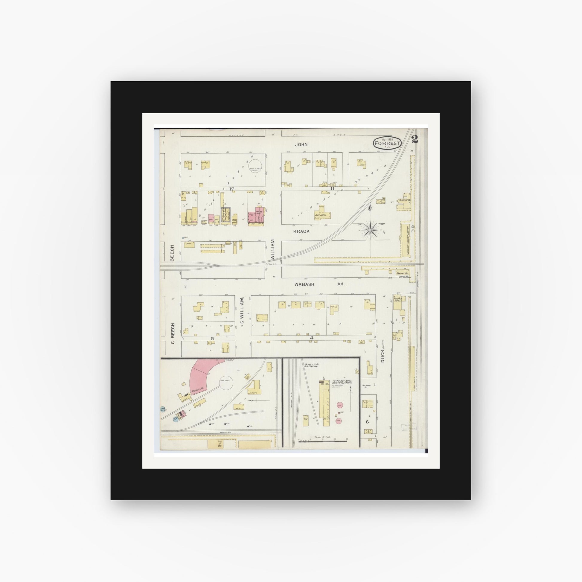 Old map wall art mockup — black gallery frame with white mat — Sanborn Fire Insurance Map from Forrest, Livingston County, Illinois (1893), Sheet #0002