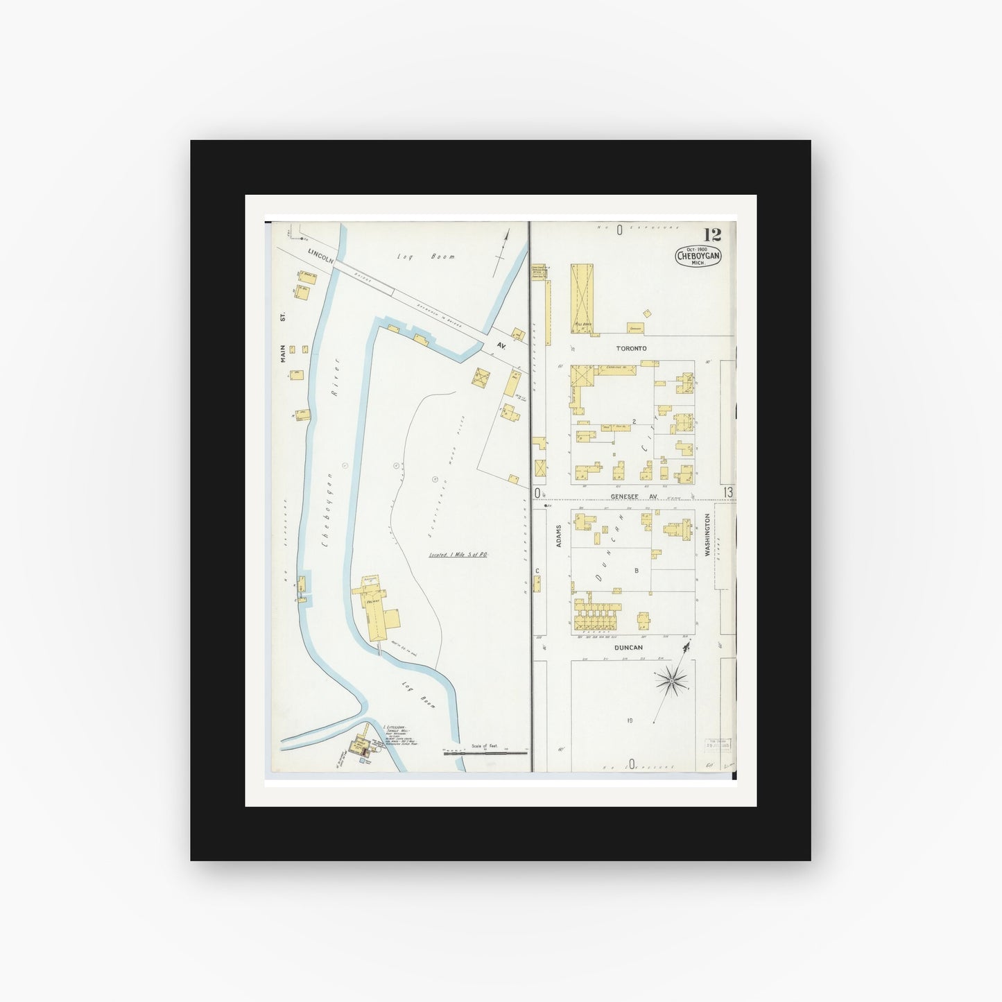 Old map wall art mockup — black gallery frame with white mat — Sanborn Fire Insurance Map from Cheboygan, Cheboygan County, Michigan (1900), Sheet #0012