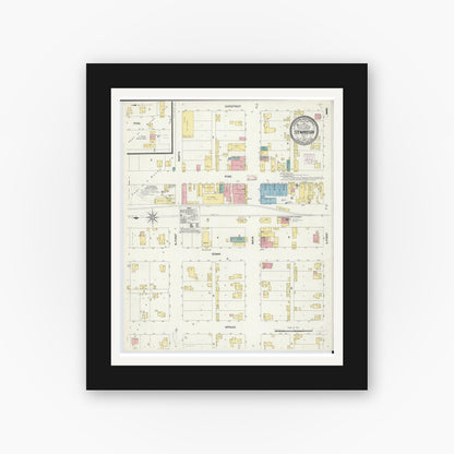 Old map wall art mockup — black gallery frame with white mat — Sanborn Fire Insurance Map from Stewardson, Shelby County, Illinois (1907) - Complete Map Set