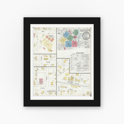 Old map wall art mockup — black gallery frame with white mat — Sanborn Fire Insurance Map from Carmi, White County, Illinois (1899) - Complete Map Set