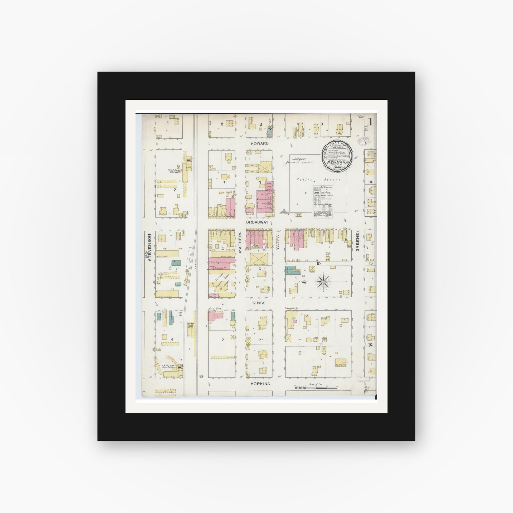 Old map wall art mockup — black gallery frame with white mat — Sanborn Fire Insurance Map from Newman, Douglas County, Illinois (1893) - Complete Map Set