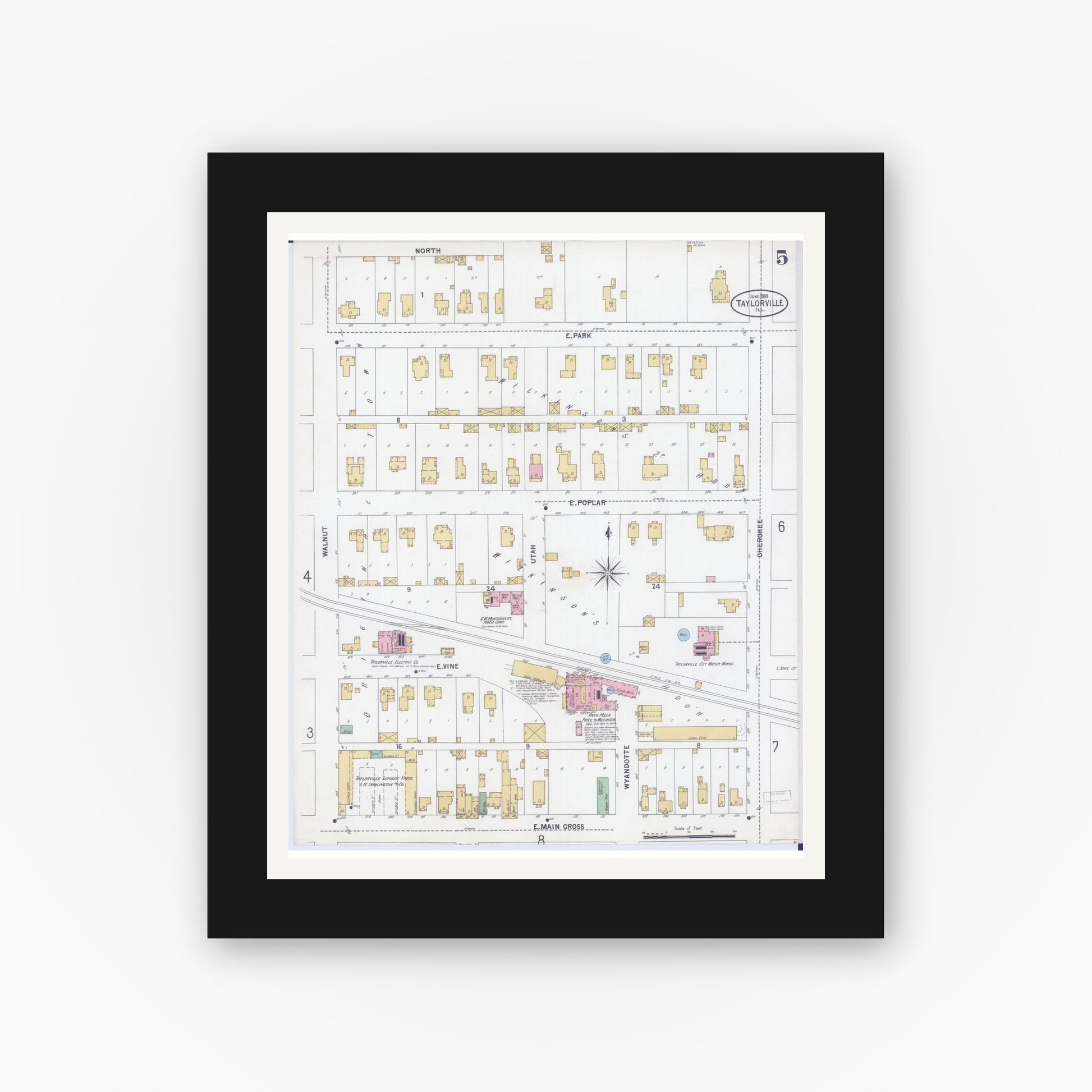 Old map wall art mockup — black gallery frame with white mat — Sanborn Fire Insurance Map from Taylorville, Christian County, Illinois (1899), Sheet #0005