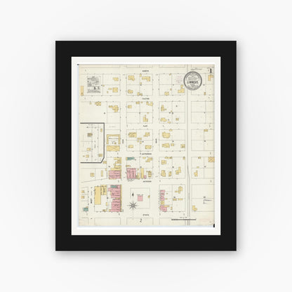 Old map wall art mockup — black gallery frame with white mat — Sanborn Fire Insurance Map from Linneus, Linn County, Missouri (1902) - Complete Map Set