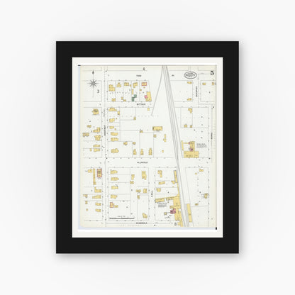 Old map wall art mockup — black gallery frame with white mat — Sanborn Fire Insurance Map from Reed City, Osceola County, Michigan (1900), Sheet #0005