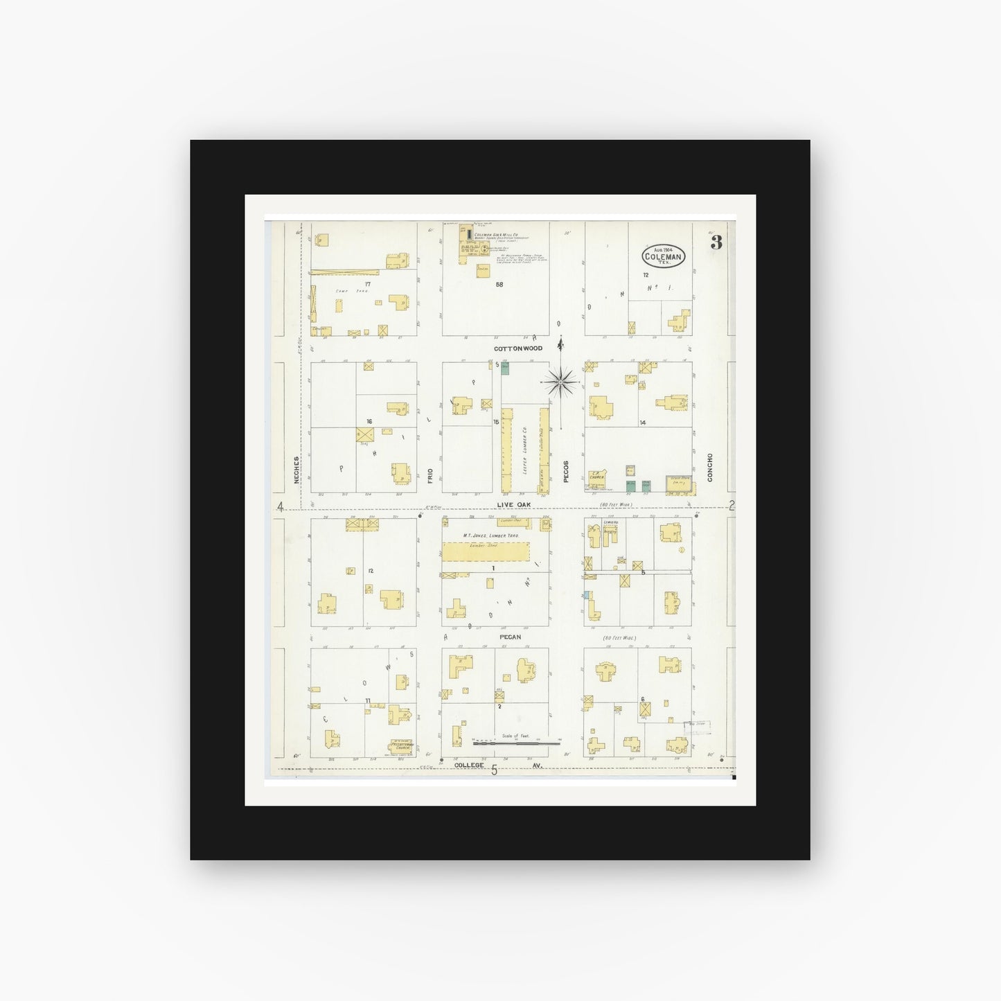 Old map wall art mockup — black gallery frame with white mat — Sanborn Fire Insurance Map from Coleman, Coleman County, Texas (1904), Sheet #0003