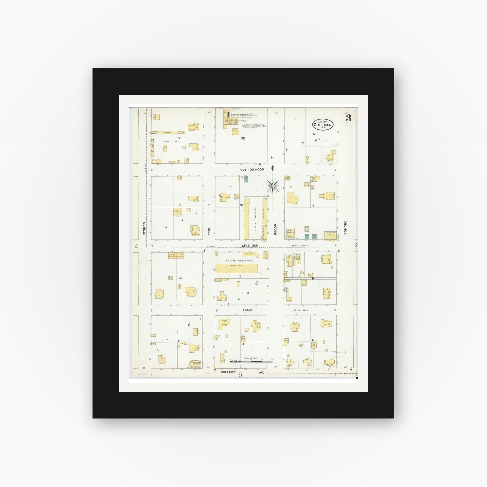 Old map wall art mockup — black gallery frame with white mat — Sanborn Fire Insurance Map from Coleman, Coleman County, Texas (1904), Sheet #0003