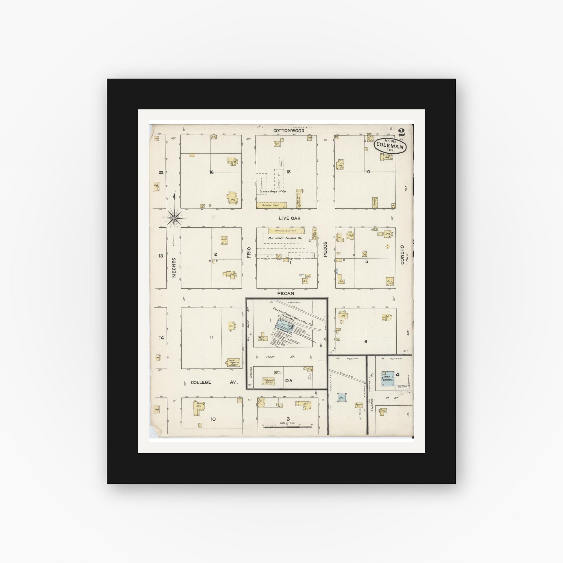 Old map wall art mockup — black gallery frame with white mat — Sanborn Fire Insurance Map from Coleman, Coleman County, Texas (1888), Sheet #0002