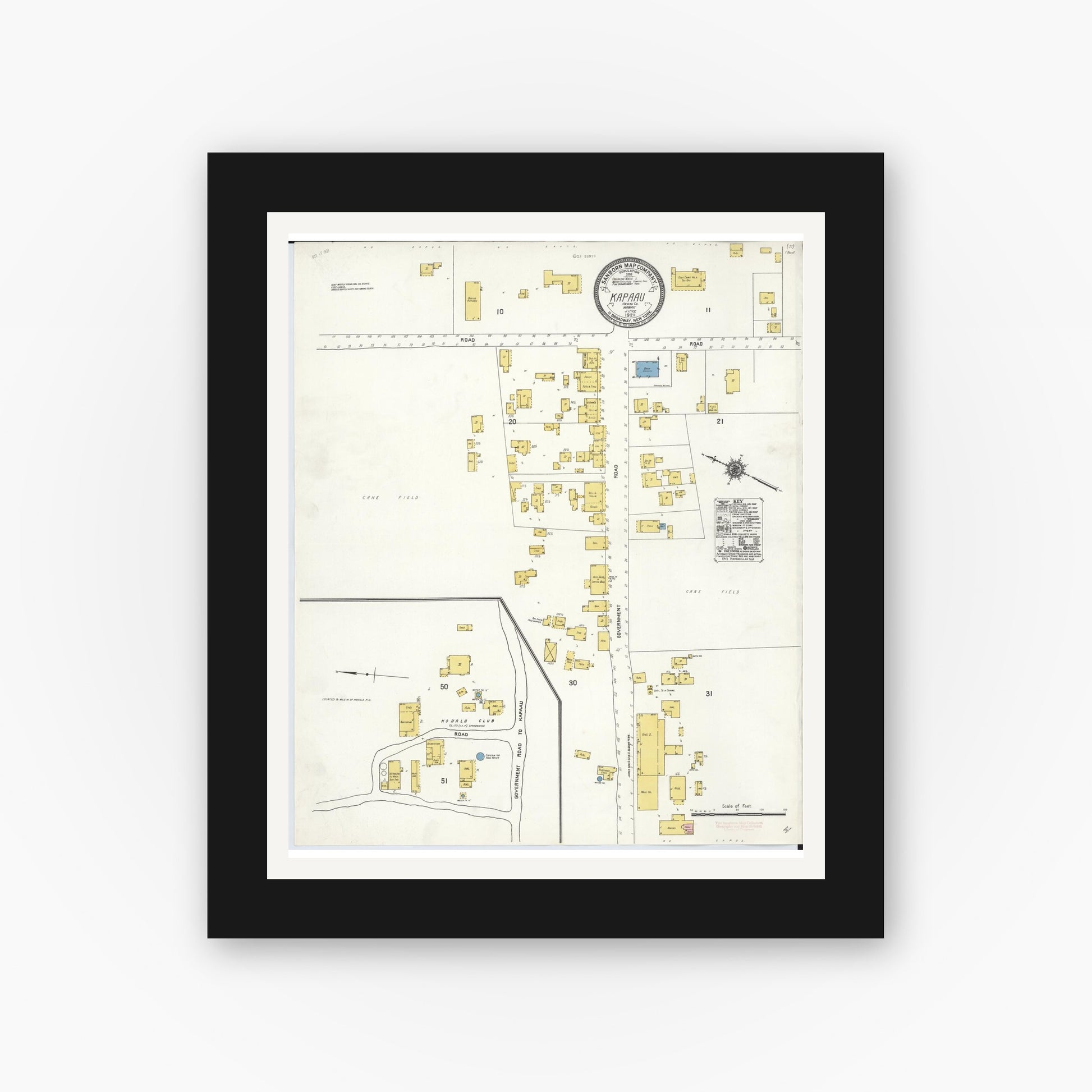 Old map wall art mockup — black gallery frame with white mat — Sanborn Fire Insurance Map from Kapaau, Hawaii County, Hawaii (1921), Sheet #0001