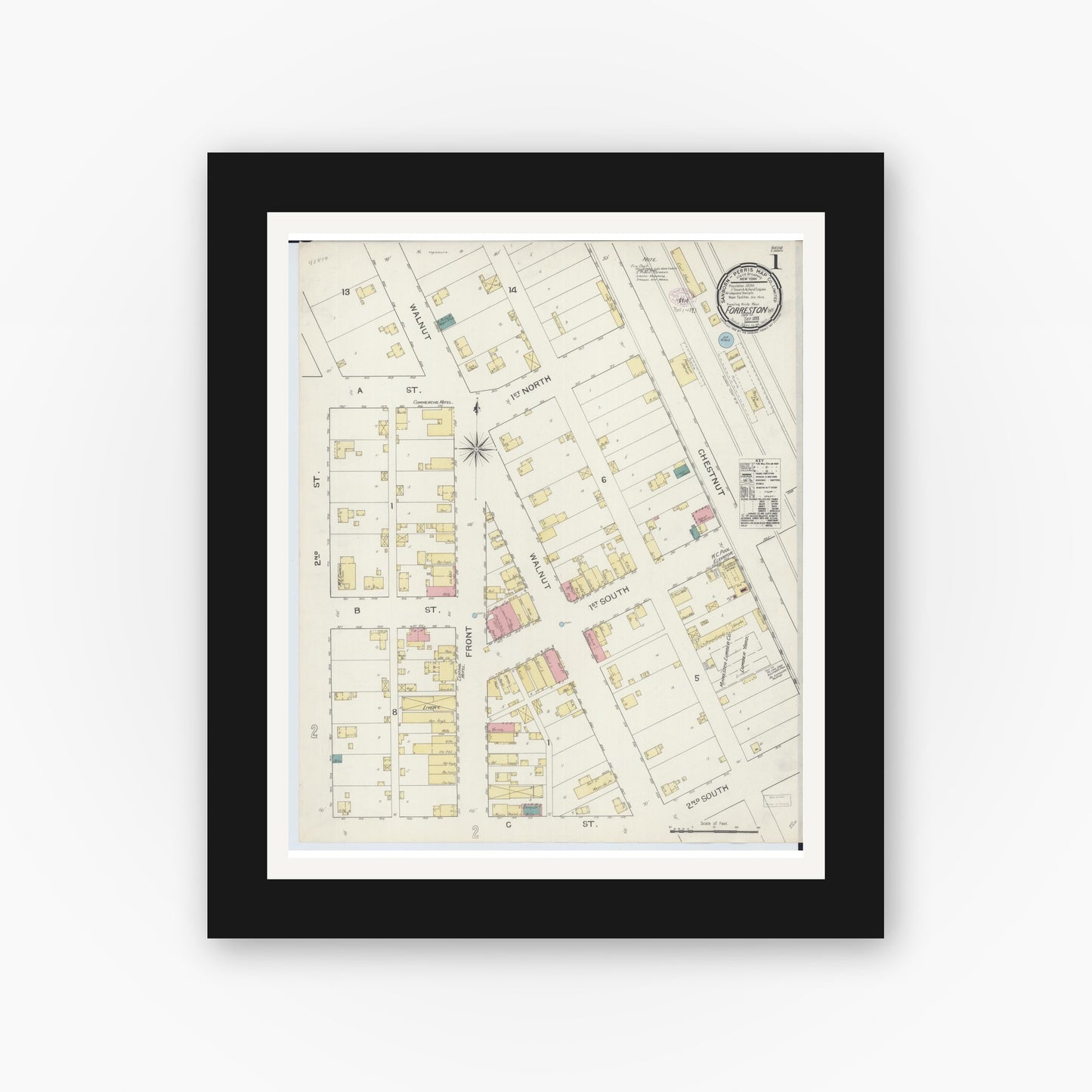 Old map wall art mockup — black gallery frame with white mat — Sanborn Fire Insurance Map from Forreston, Ogle County, Illinois (1893) - Complete Map Set
