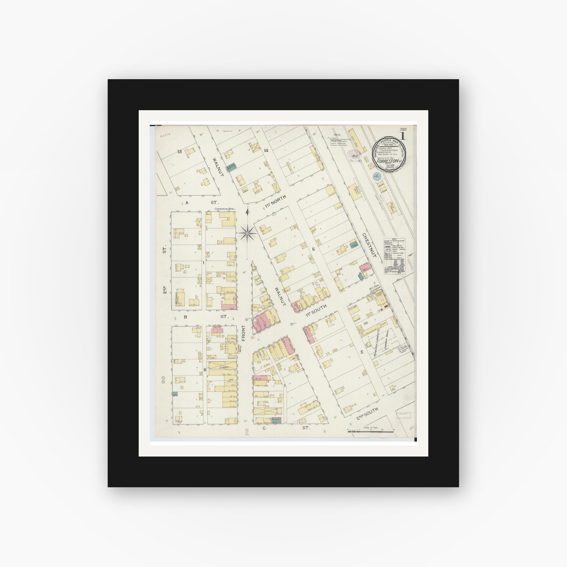 Old map wall art mockup — black gallery frame with white mat — Sanborn Fire Insurance Map from Forreston, Ogle County, Illinois (1893) - Complete Map Set