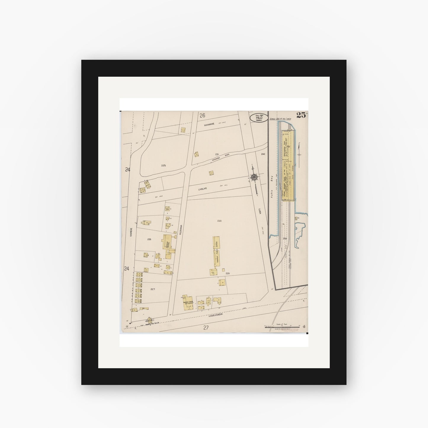 Old map wall art mockup — black gallery frame with white mat — Sanborn Fire Insurance Map from Hilo, Hawaii County, Hawaii (1921), Sheet #0025